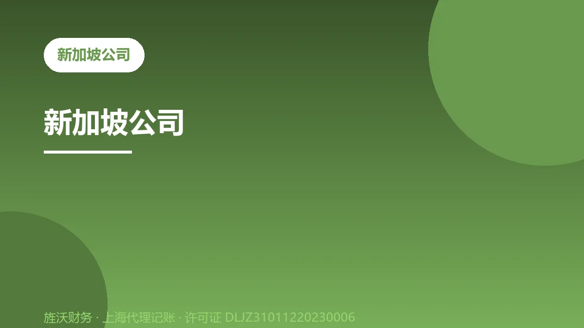 新加坡公司 - 旌沃财务